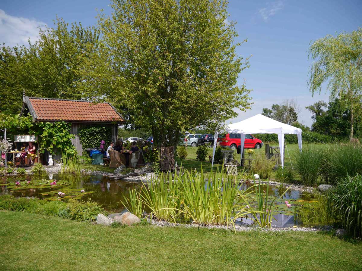 Galerie_festival_cashagen1